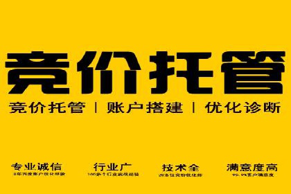 竞价SEM托管服务在市场推广中的应用